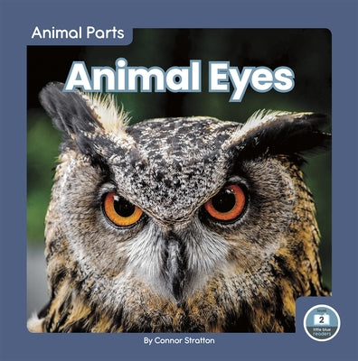 Animal Eyes by Stratton, Connor
