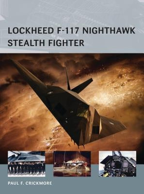 Lockheed F-117 Nighthawk Stealth Fighter by Crickmore, Paul F.