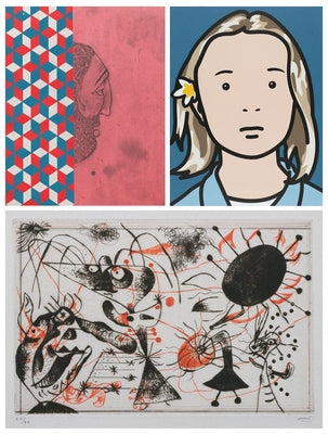 What Is a Print?: Selections from the Museum of Modern Art by Suzuki, Sarah