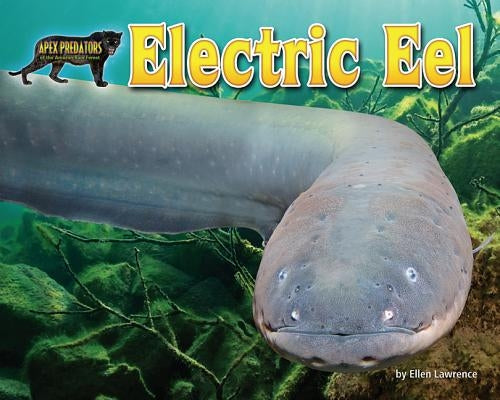 Electric Eel by Lawrence, Ellen