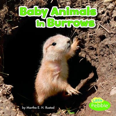 Baby Animals in Burrows by Rustad, Martha E. H.
