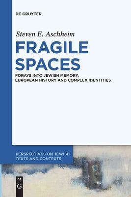 Fragile Spaces by Aschheim, Steven E.