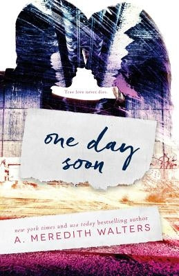 One Day Soon by Walters, A. Meredith