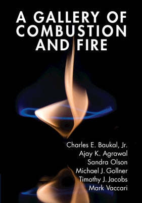 A Gallery of Combustion and Fire by Baukal Jr, Charles E.