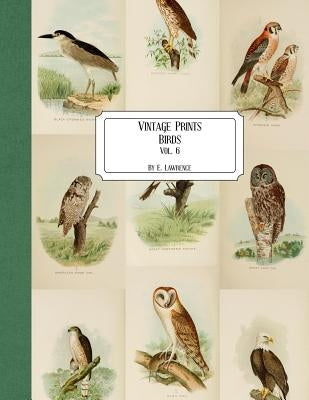 Vintage Prints: Birds: Vol. 6 by Lawrence, E.
