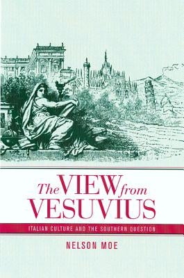 The View from Vesuvius: Italian Culture and the Southern Questionvolume 46 by Moe, Nelson J.