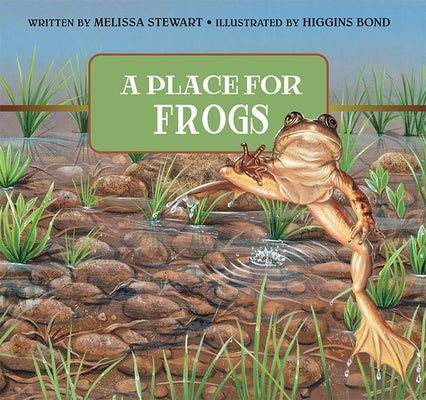 A Place for Frogs by Stewart, Melissa