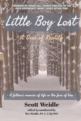 Little Boy Lost: A Dose of Reality by Weidle, Wes