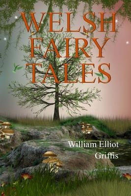 Welsh Fairy Tales by Griffis, William Elliot