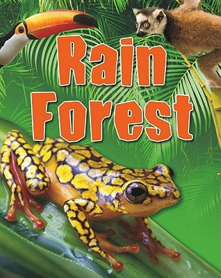 Rain Forest by Levete, Sarah