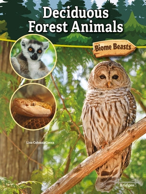 Deciduous Forest Animals by Cocca, Lisa Colozza