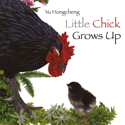 Little Chick Grows Up by Hongcheng, Yu