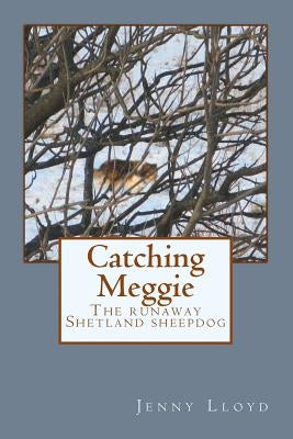 Catching Meggie the Runaway Shetland Sheepdog by Lloyd, Jenny