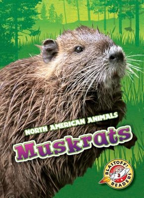 Muskrats by Albertson, Al
