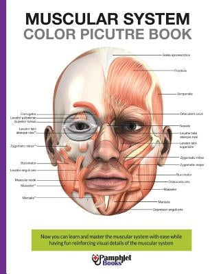 Muscular System Color Picture Book: Beautiful illustrations with concisely and clearly readable labels by Books, Pamphlet