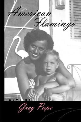 American Flamingo by Pape, Greg
