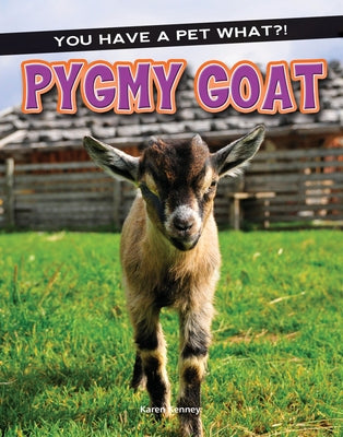 Pygmy Goat by Kenney, Karen