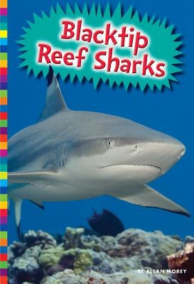 Blacktip Reef Sharks by Morey, Allan