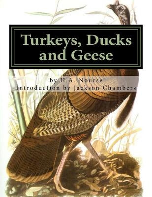 Turkeys, Ducks and Geese: Breeding, Hatching and Rearing For Pleasure or Profit by Chambers, Jackson