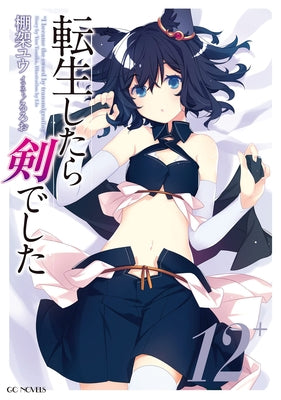 Reincarnated as a Sword (Light Novel) Vol. 12 by Tanaka, Yuu
