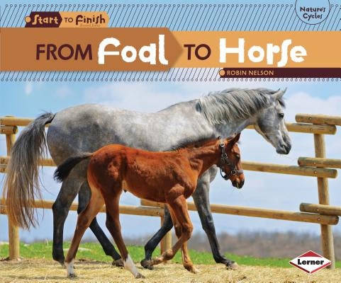From Foal to Horse by Nelson, Robin