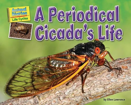 A Periodical Cicada's Life by Lawrence, Ellen