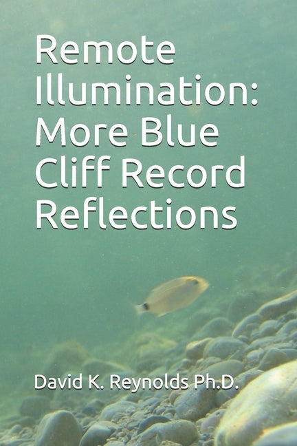 Remote Illumination: More Blue Cliff Record Reflections by Reynolds Ph. D., David K.