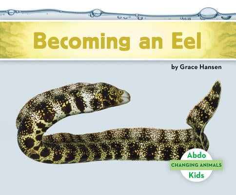 Becoming an Eel by Hansen, Grace