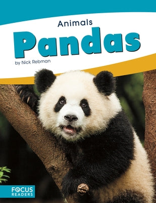 Pandas by Rebman, Nick