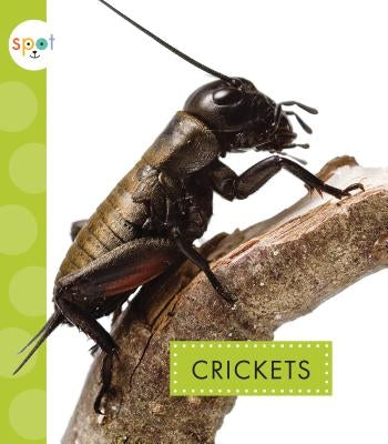 Crickets by Black, Nessa