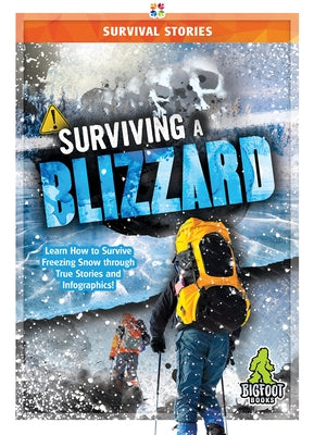 Surviving a Blizzard by Hayes, Vicki C.