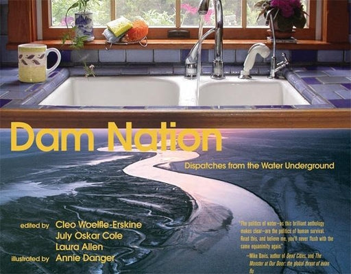 Dam Nation: Dispatches from the Water Underground by Woelfle-Erskine, Cleo