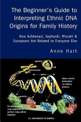 The Beginner's Guide to Interpreting Ethnic DNA Origins for Family History: How Ashkenazi, Sephardi, Mizrahi & Europeans Are Related to Everyone Else by Hart, Anne