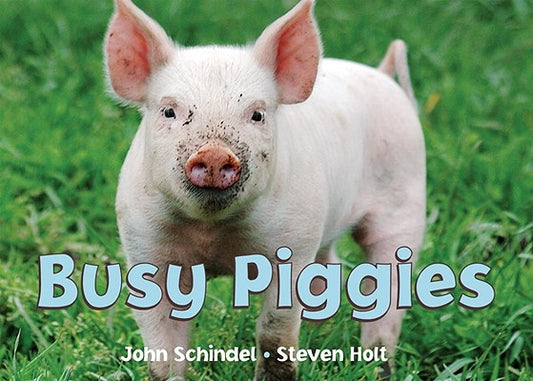 Busy Piggies by Schindel, John