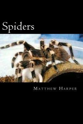 Spiders: A Fascinating Book Containing Spider Facts, Trivia, Images & Memory Recall Quiz: Suitable for Adults & Children by Harper, Matthew