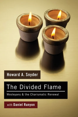 The Divided Flame by Snyder, Howard A.