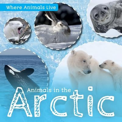 Animals in the Arctic by Wood, John