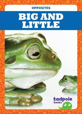 Big and Little by Donner, Erica
