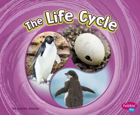 The Life Cycle by Jaycox, Jaclyn