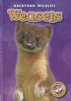 Weasels by Borgert-Spaniol, Megan