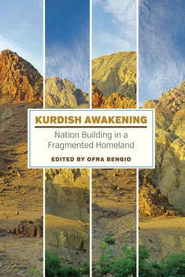 Kurdish Awakening: Nation Building in a Fragmented Homeland by Bengio, Ofra