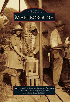 Marlborough by Amodeo, Emily