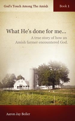 God's Touch Among The Amish, Book 1 by Beiler, Aaron Jay
