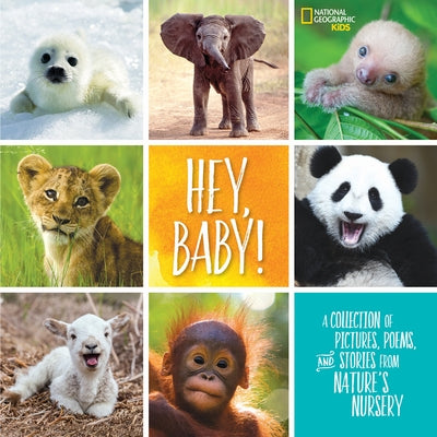 Hey, Baby!: A Collection of Pictures, Poems, and Stories from Nature's Nursery by Drimmer, Stephanie