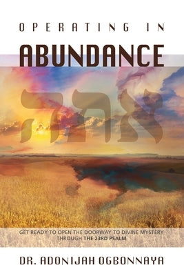 Operating in Abundance by Ogbonnaya, Adonijah
