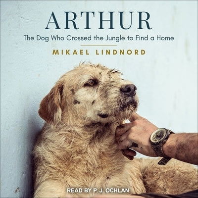 Arthur Lib/E: The Dog Who Crossed the Jungle to Find a Home by Lindnord, Mikael