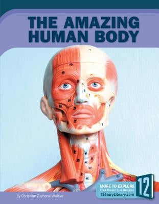 The Amazing Human Body by Zuchora-Walske, Christine