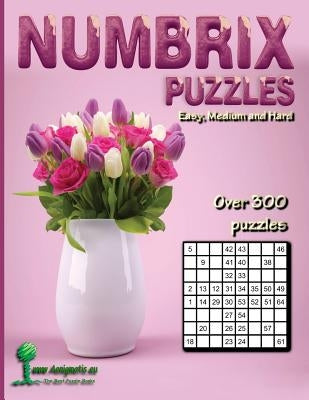 Numbrix Puzzles: Easy, Medium and Hard by Aenigmatis