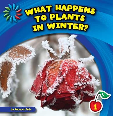 What Happens to Plants in Winter? by Felix, Rebecca