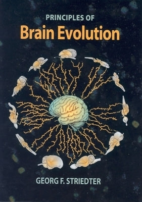Principles of Brain Evolution by Striedter, Georg F.